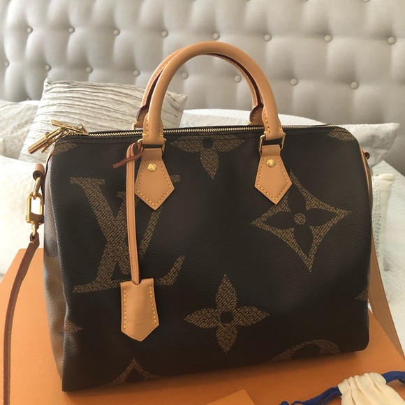 Louis Vuitton Handbags - Just in!!!!